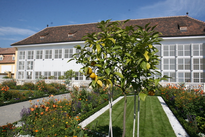 Orangerie Schloss Hof