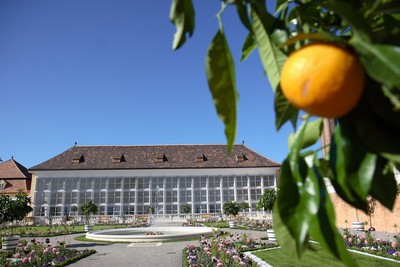 Orangerie 