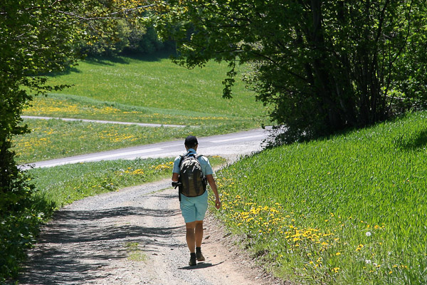 Alpannonia Etappe 4 Hochneukirchen - Bernstein | Das Weitwandern Portal